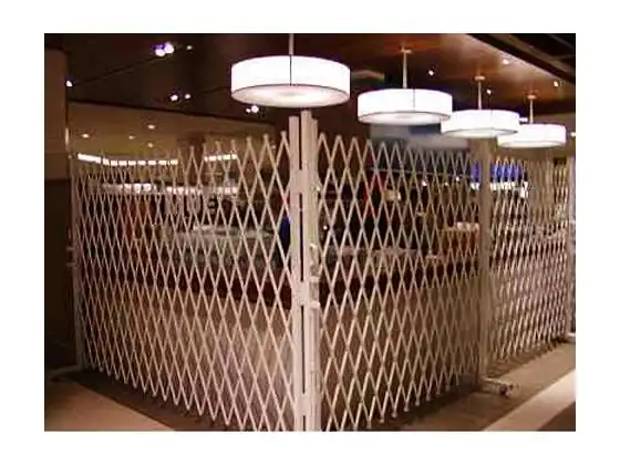 Access Control Folding Gate
