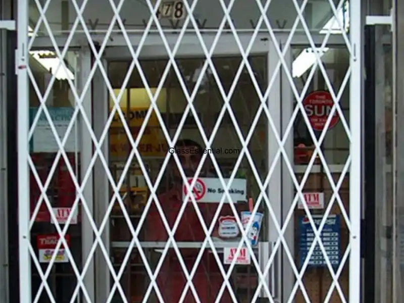 Storefront Security Folding Gate