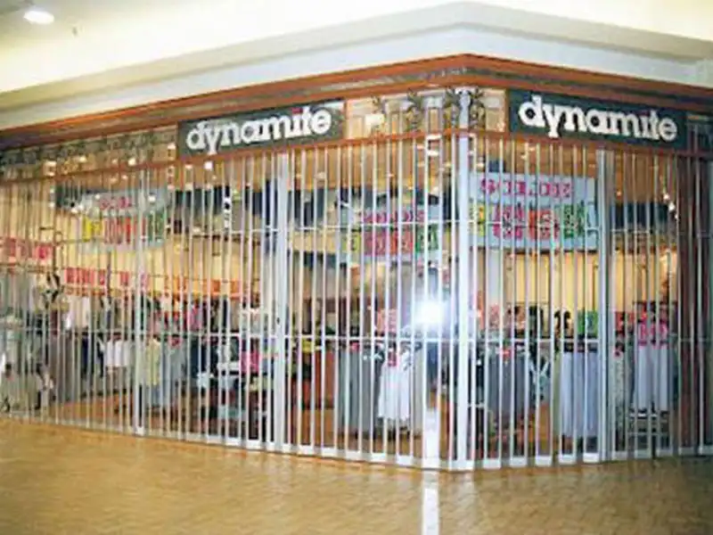 Security Enhancement Royal Folding Grille
