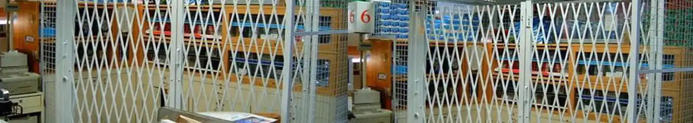 Folding gate cage for versatile storage solutions