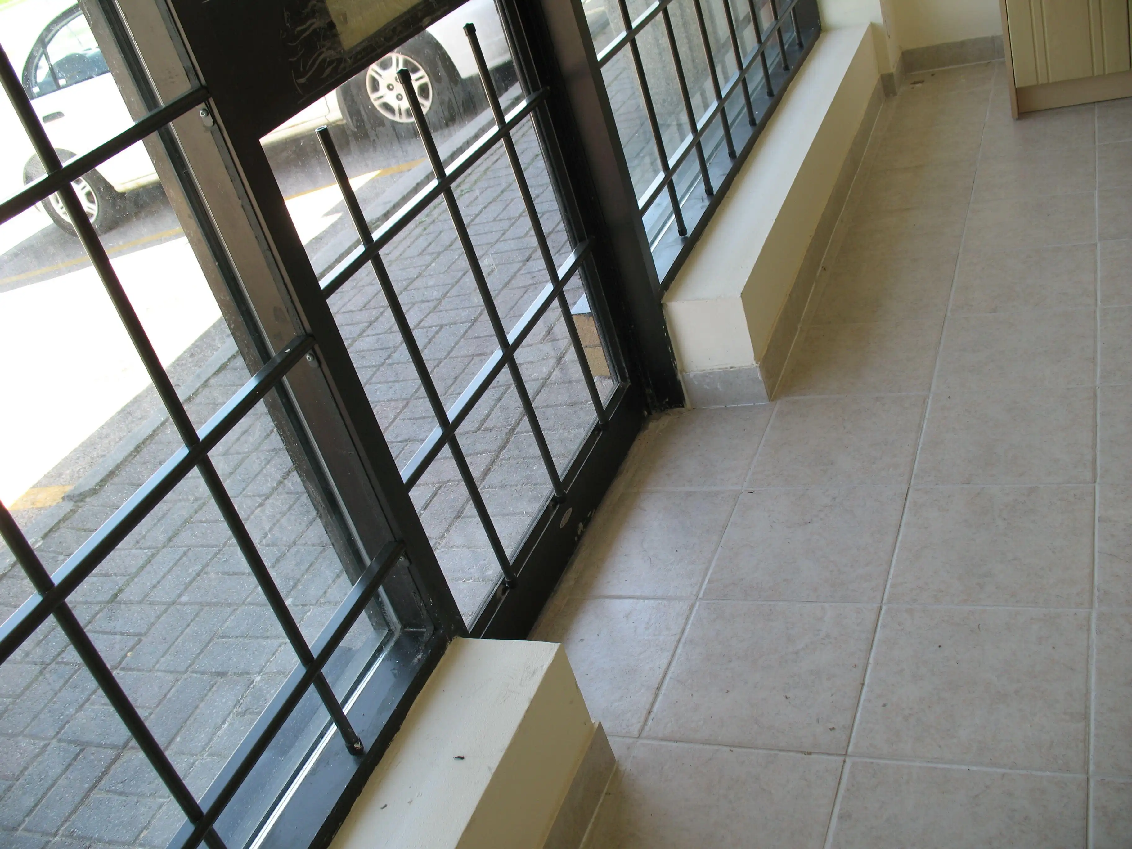 Secure with style: Aluminum window bars offering security in both fixed and removable formats.