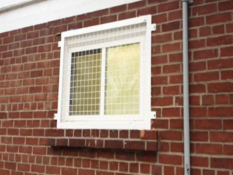Protective Wire Mesh for Windows